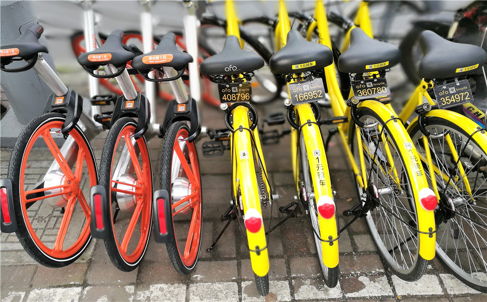 O2O Bike-Rental Deposits in China May Not be as Secure as Users Think