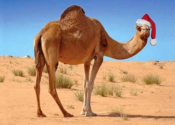 Caravan Rings in the Season with A Moroccan Lunch and Dinner Festivus, Dec 24 and 25