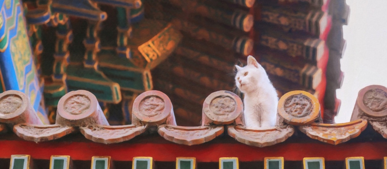 History Unleashed: How Beijing’s Pets Have Endeared Everyone From Emperors to Millennials 