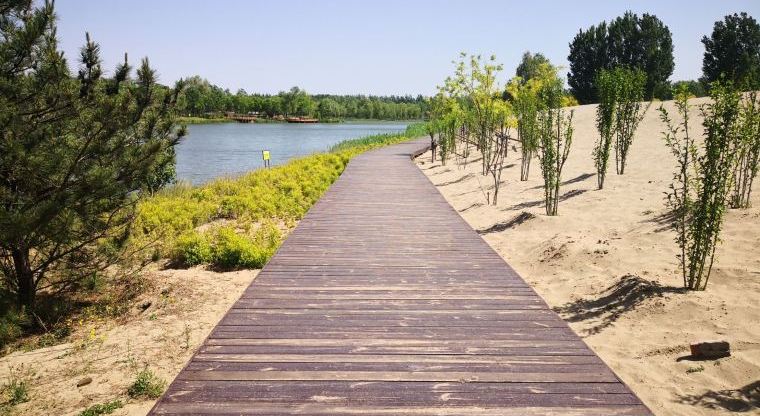 Park Life: Everything You Need to Know About Dongjiao Wetland Park