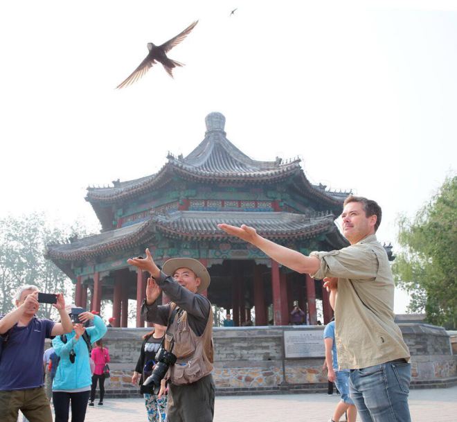 Summer Palace Birds Fly 26,000km Annual Migration Route, Birding Beijing Confirms