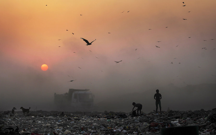 A Glimpse Through the Smog: New Delhi Counterparts Describe Their Pollution Woes