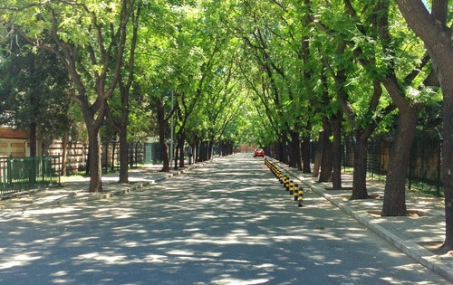 Underrated Beijing: Biking Around Ritan Park