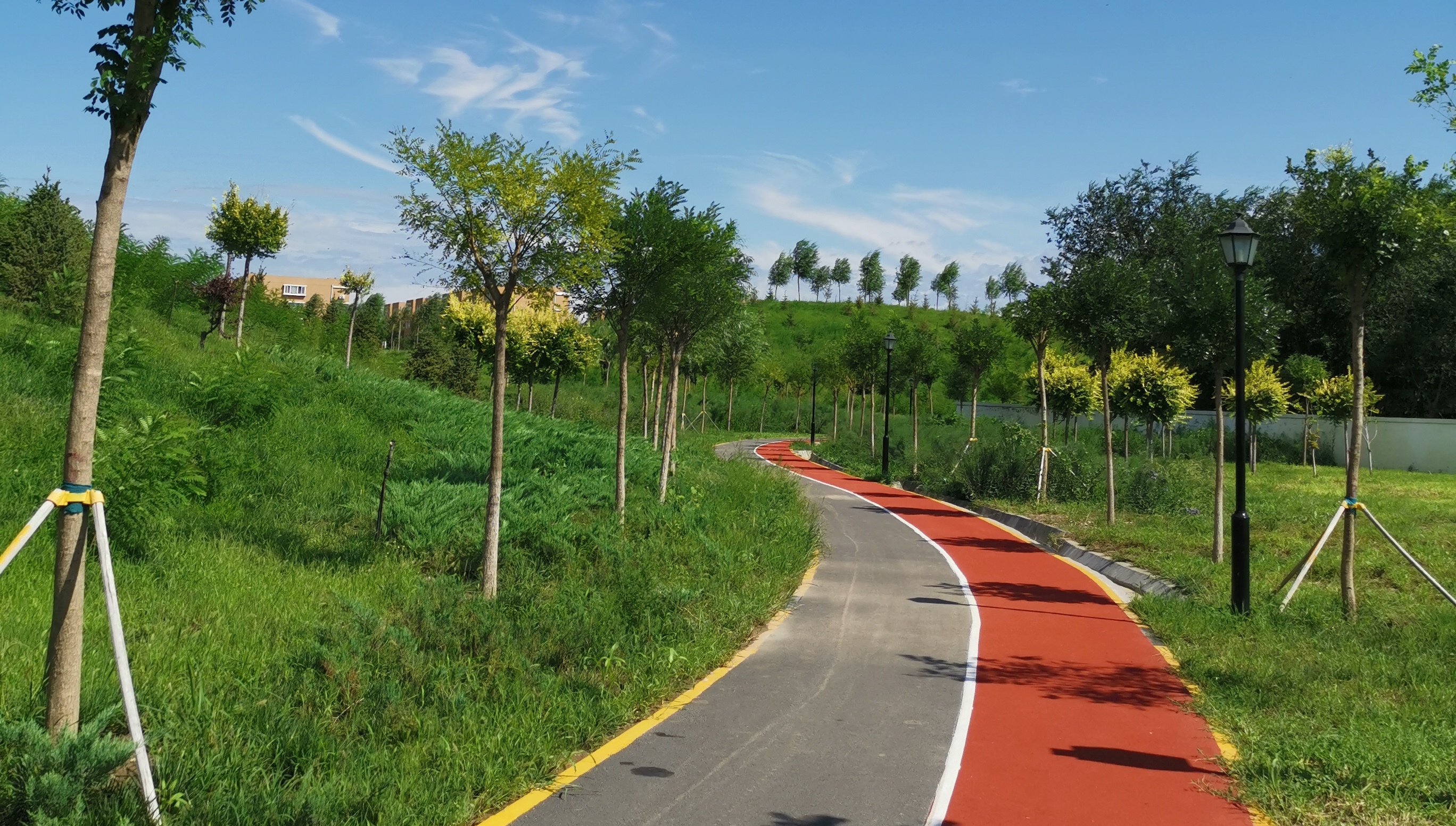 Run for Your Life: Shunyi’s New Colorful Running Track Is Open to the Public