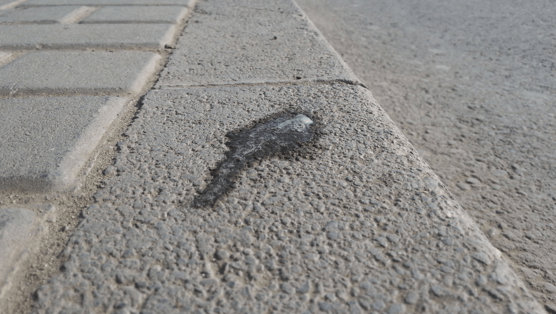 Fines for Spitting, Defecating, and Littering to Increase as of May 1