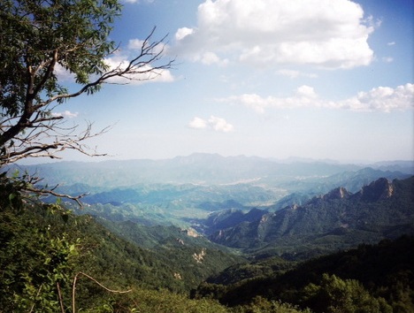 Strange Trees and Mao Coats: Touching the Sky at Wulingshan