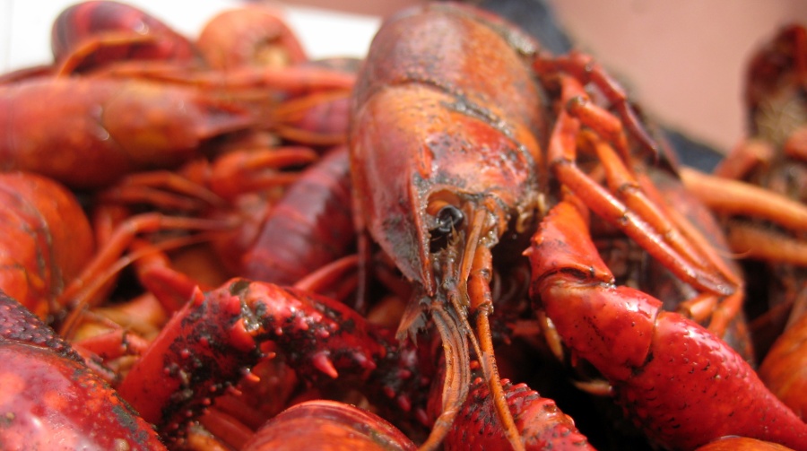 EAT: GLB Crawfish Boil and Other Eats for Dragon Boat Festival
