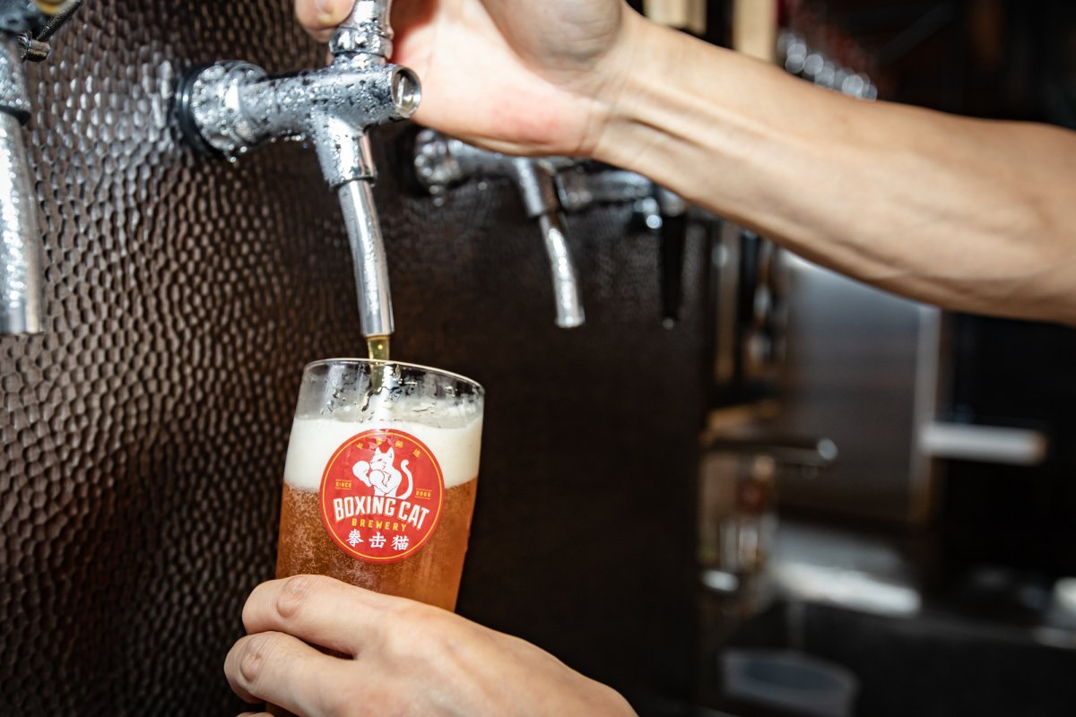 Boxing Cat Exits the Ring but Plans to Continue the Fight Boxing Cat Exits the Ring but Plans to Continue the Fight