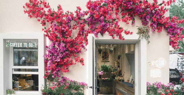 TBJ Chinese: 跟Cabo Coffee 老板Jack聊了聊 An Interview With Jack of Cabo Coffee TBJ Chinese: 跟Cabo Coffee 老板Jack聊了聊 An Interview With Jack of Cabo Coffee