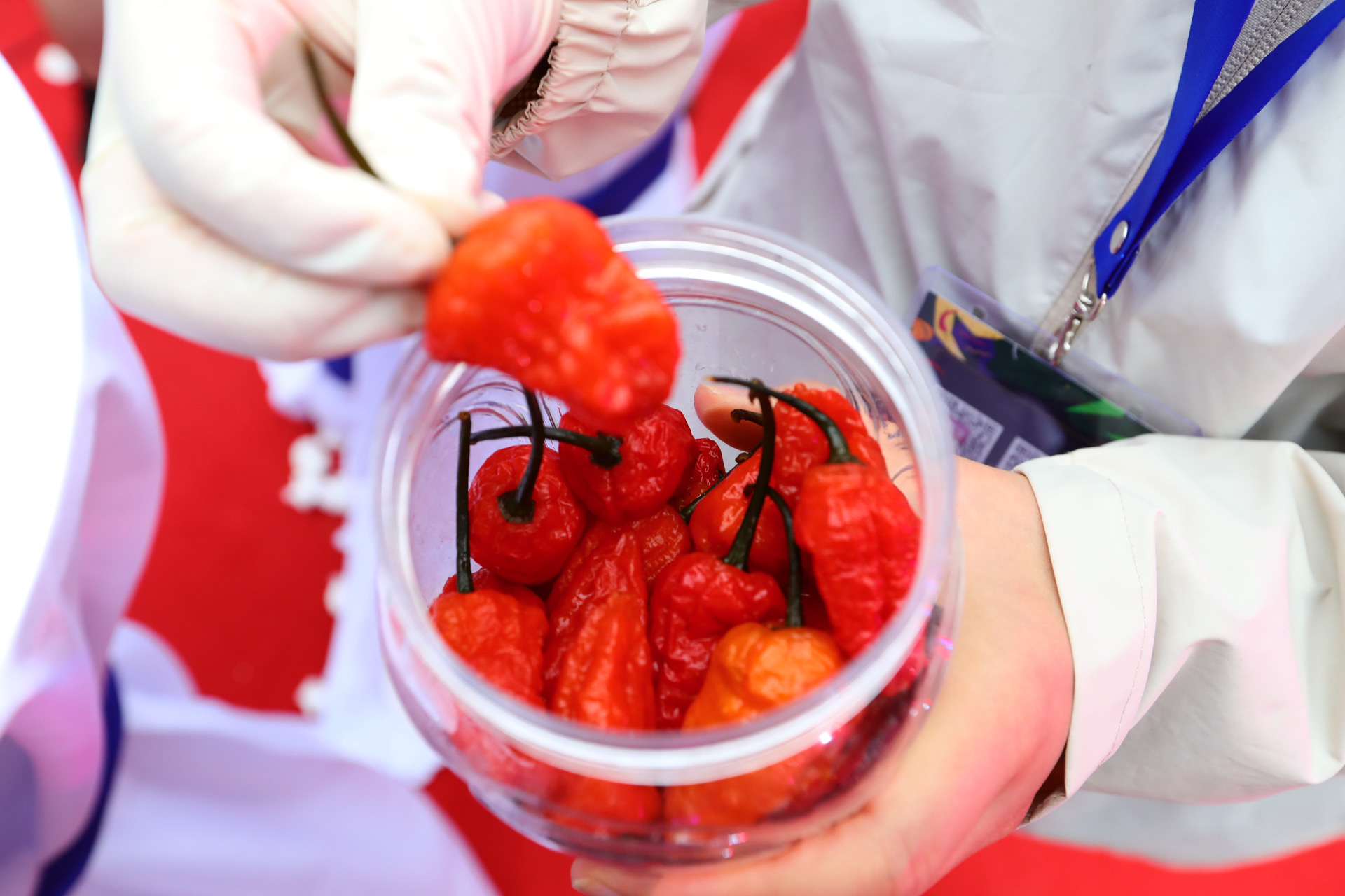 Hot & Spicy Fest Day 2 CANCELED Hot & Spicy Fest Day 2 CANCELED