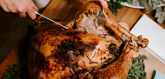 Turkeys Turkeys Everywhere, and Not a Moment to Waste!