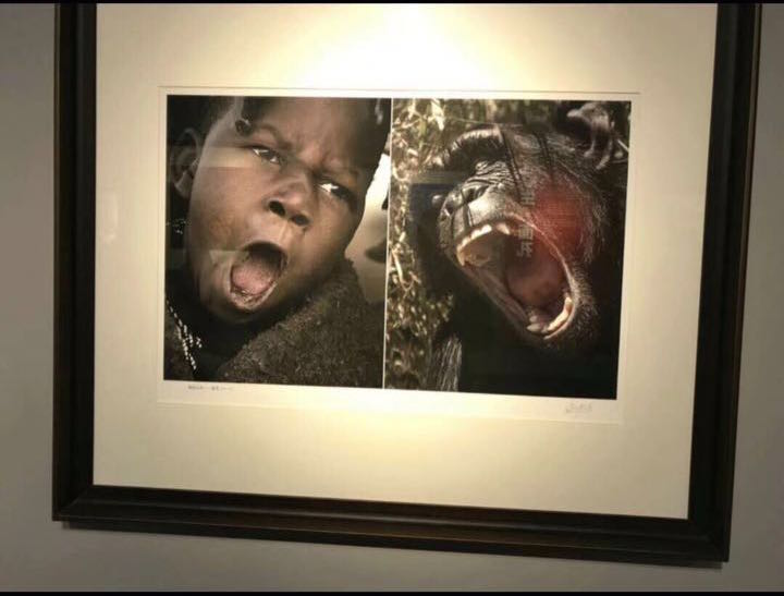 Activists in Beijing and Wuhan Successfully Spike Art Exhibit That Compared Africans to Animals  