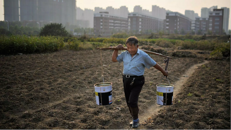 Beicology: How Beijing Broke Ground Combating Soil Pollution 
