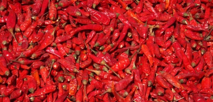Tips to Cool Down Your Burning Lips at the Beijinger&#039;s Hot &amp; Spicy Festival This Weekend