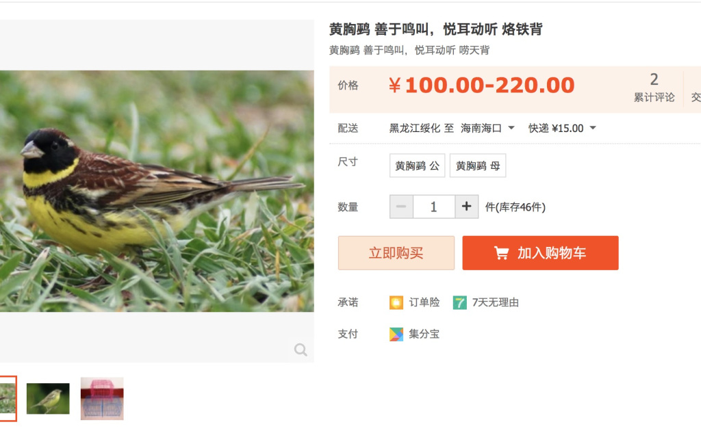 Beicology: Environmentalist Enraged After Seeing Endangered Bird For Sale On Taobao