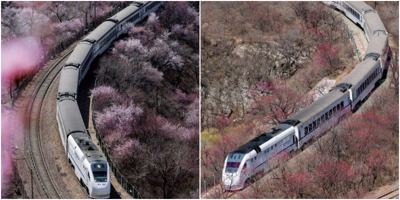 DP: Trending in Beijing: Rowdy Elderly Inhabitant, Driving Audi Causes Leukaemia, and Falling Birthrates