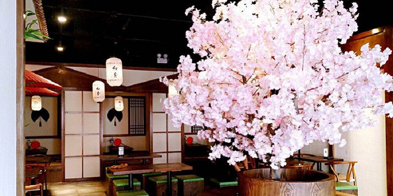 The Matcha Craze Continues at Chuyi in 3.3 Building  The Matcha Craze Continues at Chuyi in 3.3 Building