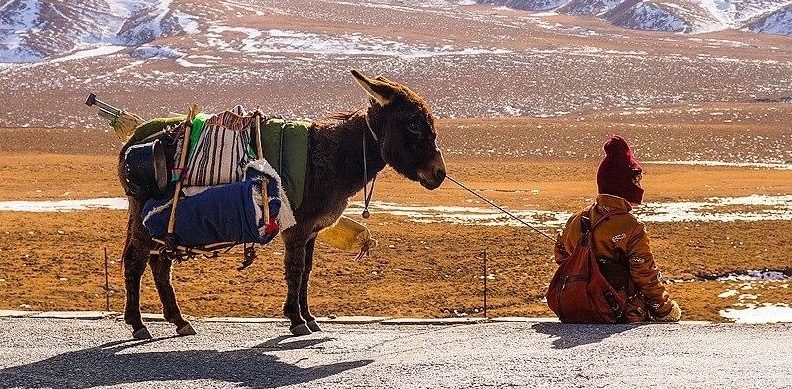 Sino Silver Screen: Movies Not to Miss This Month in Beijing Sino Silver Screen: Movies Not to Miss This Month in Beijing