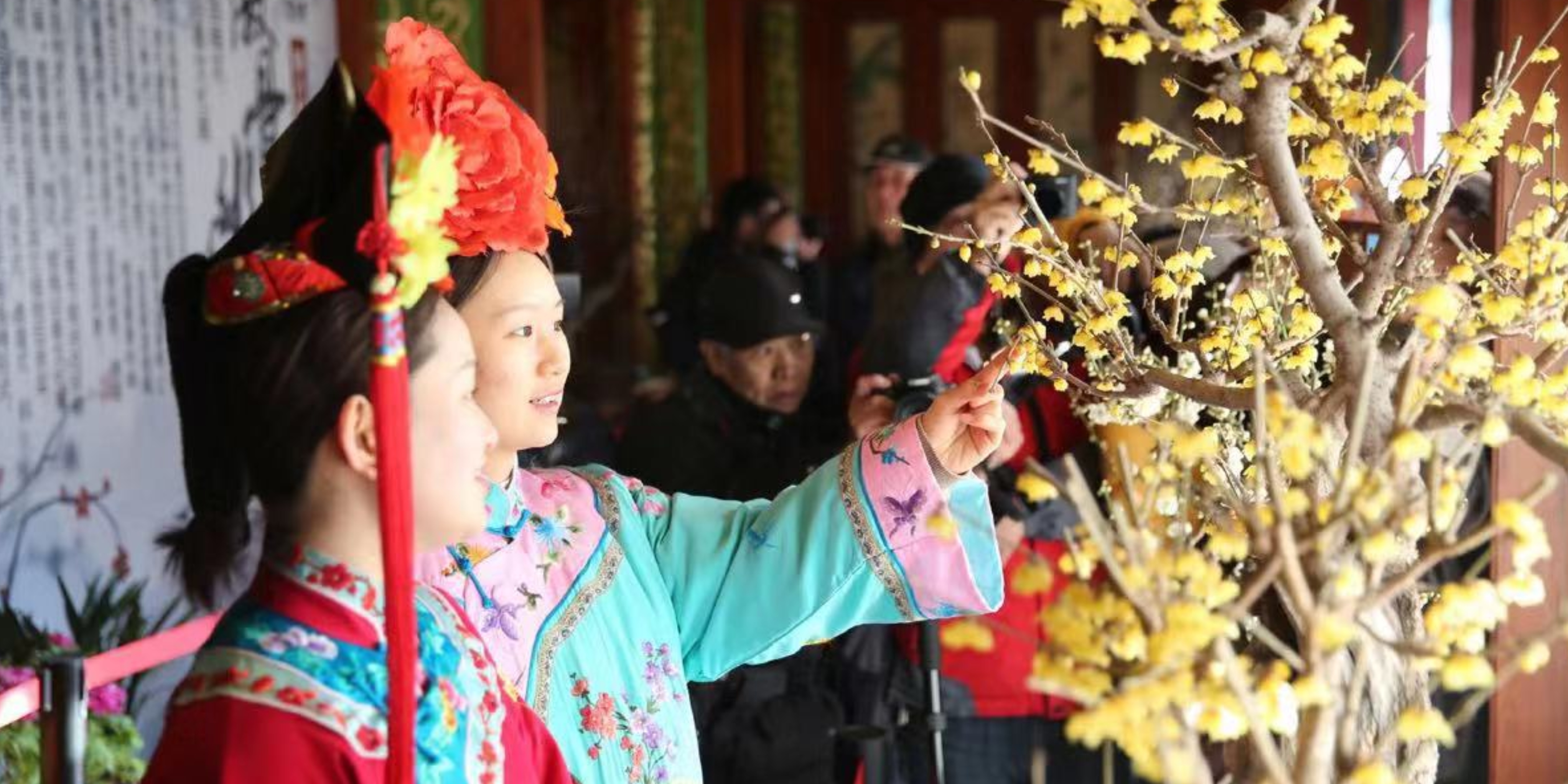 The Best Spots to Enjoy Plum Blossom Season in Beijing