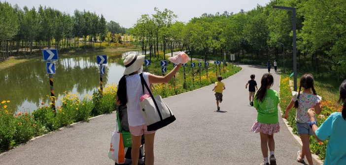 Head to Dongjiao Wetland Park for Sand, Lakes and Cycling Head to Dongjiao Wetland Park for Sand, Lakes and Cycling