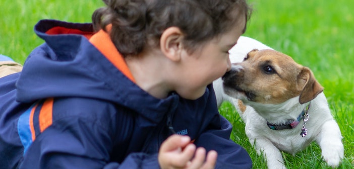 Family Fun at the Ruff n&#039; Rumble Adoption Day &amp; Bazaar