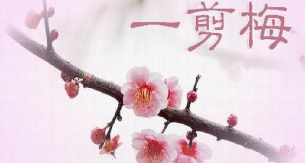 Mandarin Monday: What Do You Need to Know About &quot;One Plum Blossom&quot; Besides &quot;Xue Hua PIao Piao&quot;