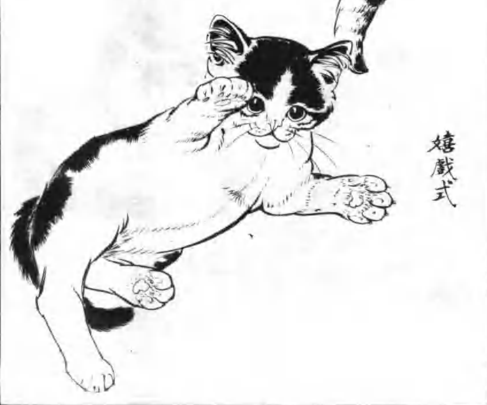 Mandarin Monday: Roaring Iron? Foot Long Jade? How Ancient Chinese Named Their Cats