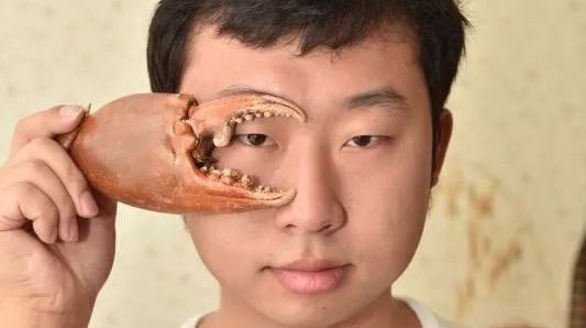 Douyin Dive: The Channel That Will Make Your Inner Entomologist Happy