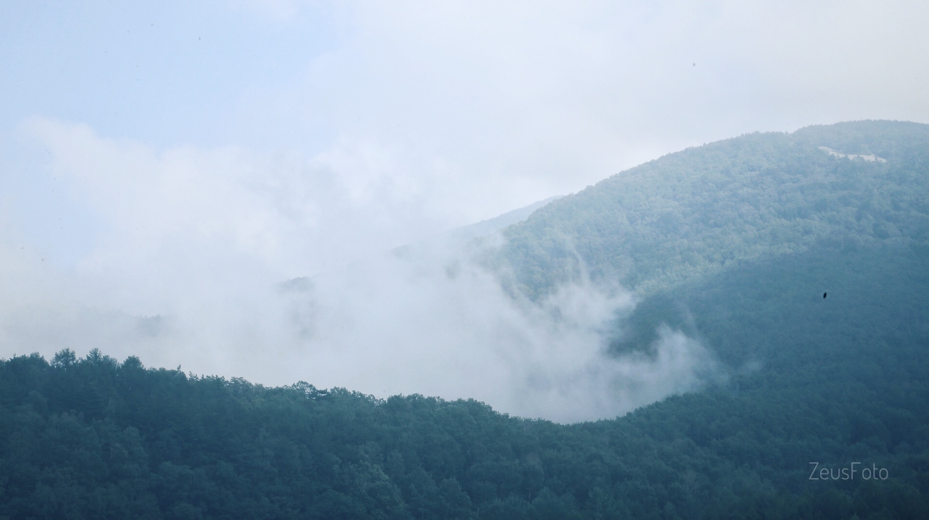 Out of The Rings: Driving Through the Cloud Sea 