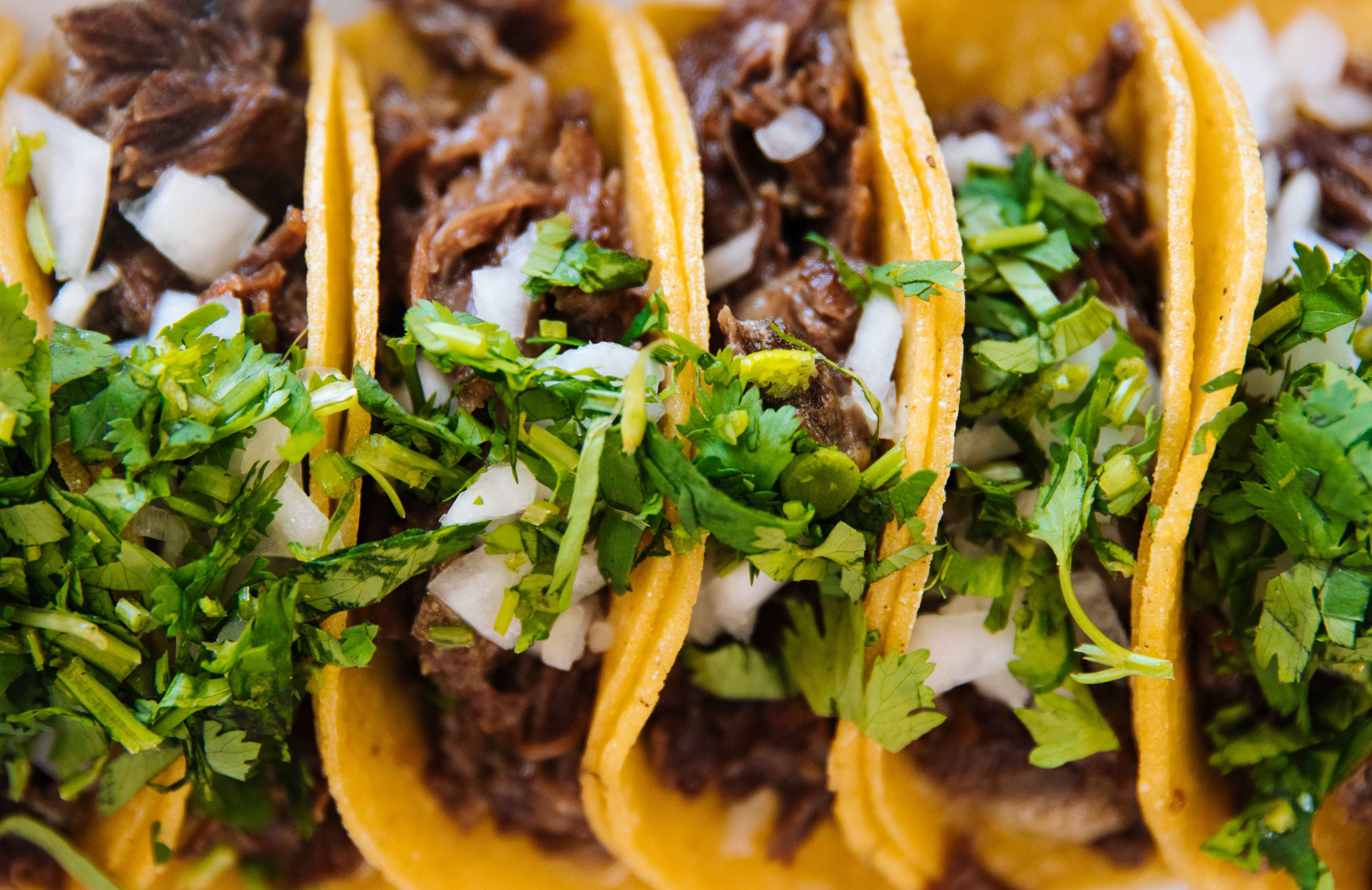 Taco Fest Guide: How to Get to Tiantongyuan Culture &amp; Arts Center&amp; More