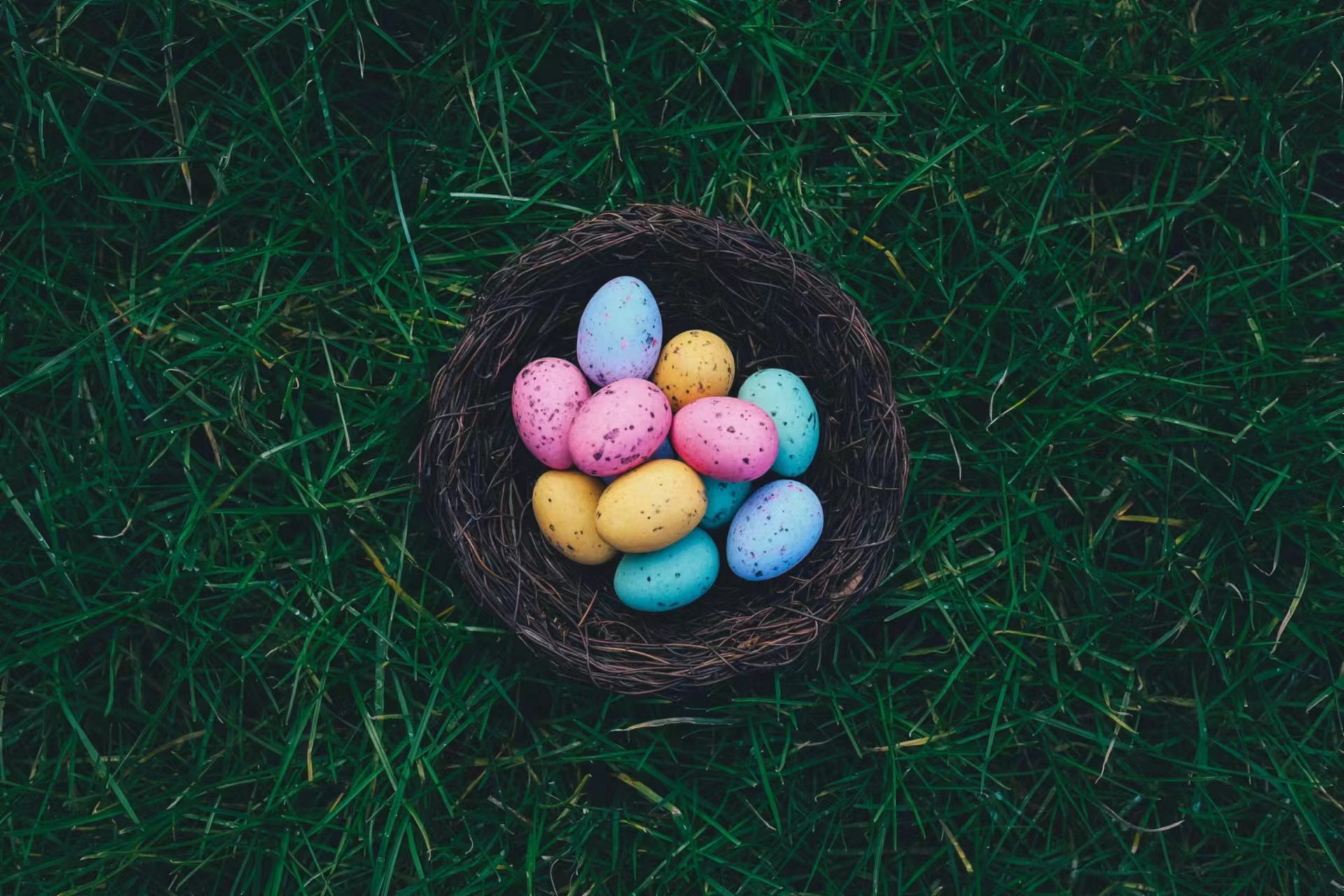 Celebrate Easter With These Eggciting Events and Deals Pt.2 Celebrate Easter With These Eggciting Events and Deals Pt.2