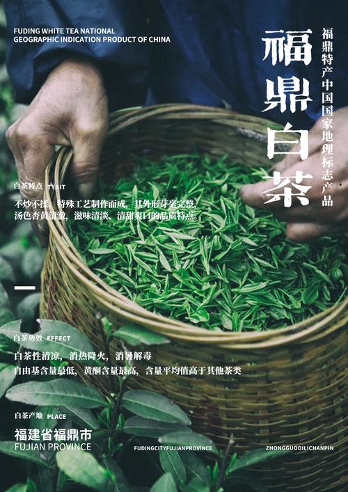 Experience the Best Chinese White Tea in Beijing the Beijinger
