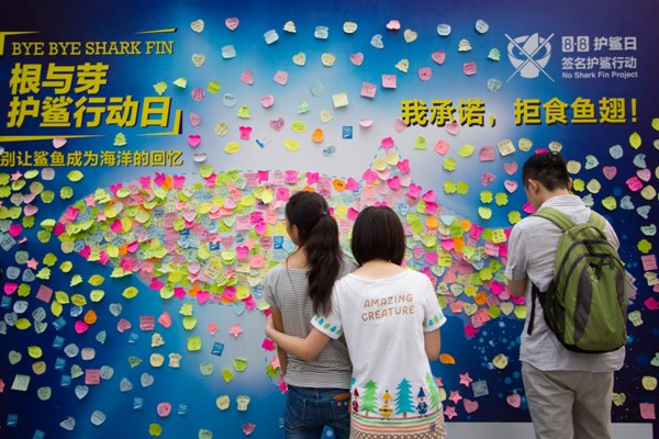 No_Shark_Fin_Project_Beijing_09
