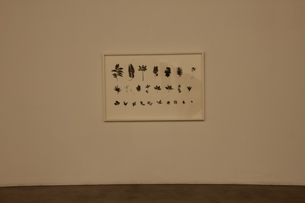 chambers_fine_art_collecting_guo_hongwei_02