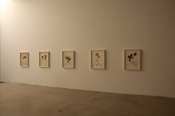 chambers_fine_art_collecting_guo_hongwei_04