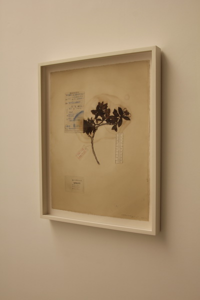 chambers_fine_art_collecting_guo_hongwei_06